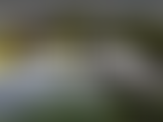 Trinity River Audubon Center: A Hiking Adventure in Dallas