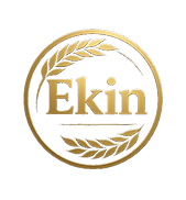 logo ekin_edited.png