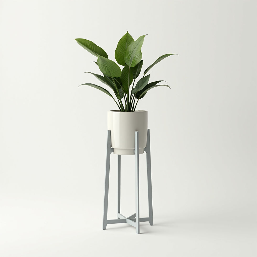 Modern Pedestal Stand