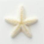 Cylindrica Star