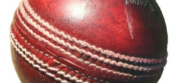 cricket.jpg