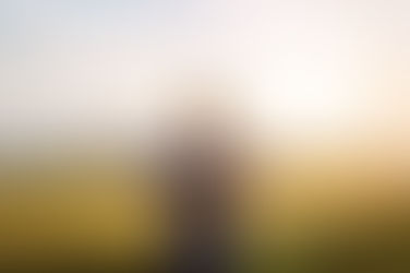 ストレスと肥満の深い関係 NO.2