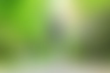 なぜボディメイクにタンパク質が重要なのか？