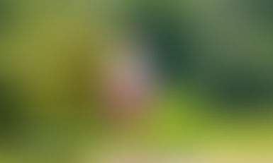 最近、つまづきやすい。。。。