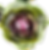 IMG_0216_edited.png