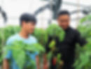 Dakofarm (40)_edited.jpg