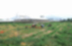 Dakofarm (3)_edited.jpg
