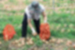 Dakofarm (4)_edited.jpg