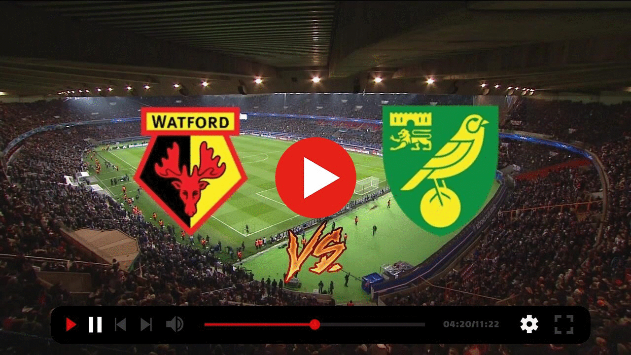 ((SPORT TV>>>)) Watch: Watford - Norwich Live Stream 15 October 2022 content media