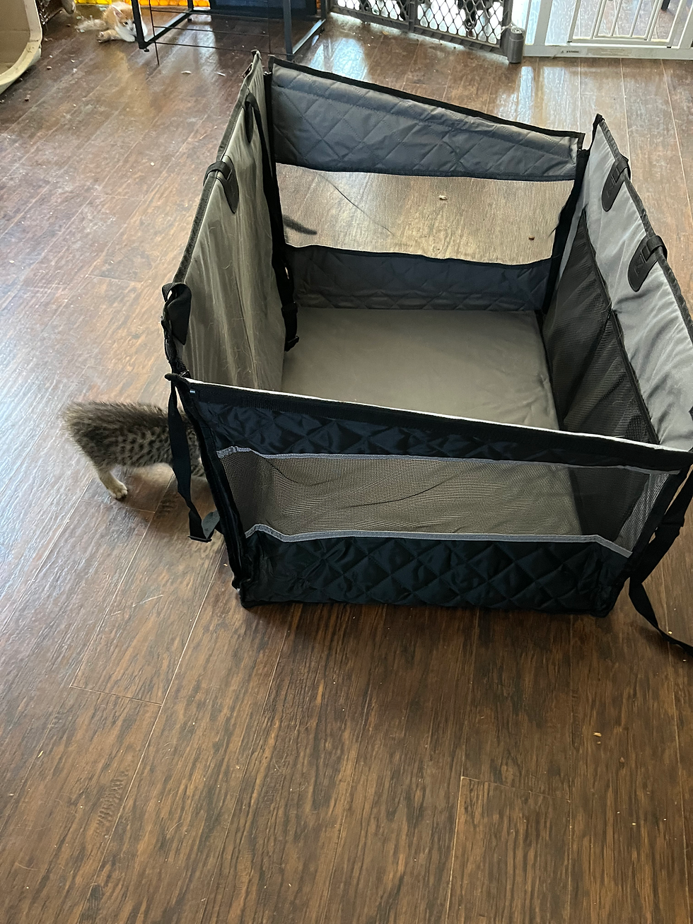 Thumbnail: Car Hammock for Dogs, Large