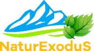 4. logo.png