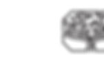 branches_Smaller.jpg