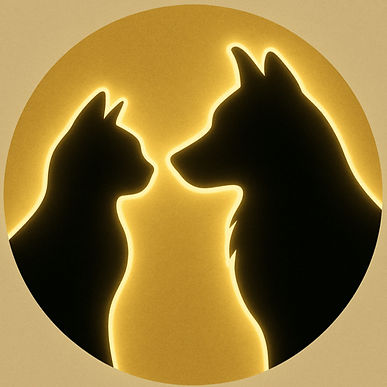 BBEFE0CA-02D5-4AE8-BB92-B0AB041C6CC8_edi