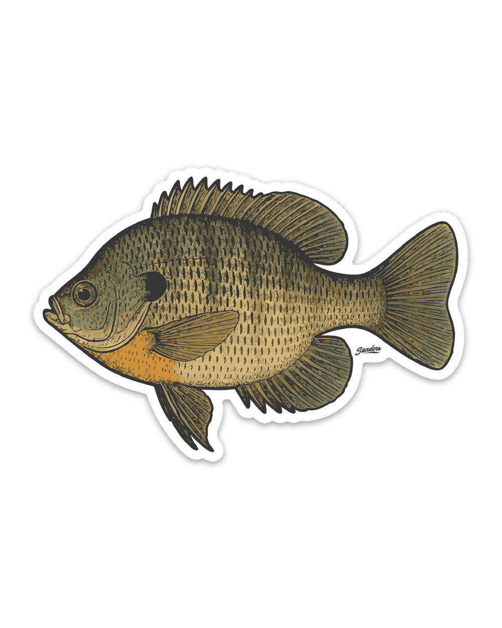 Bluegill Decal Sticker