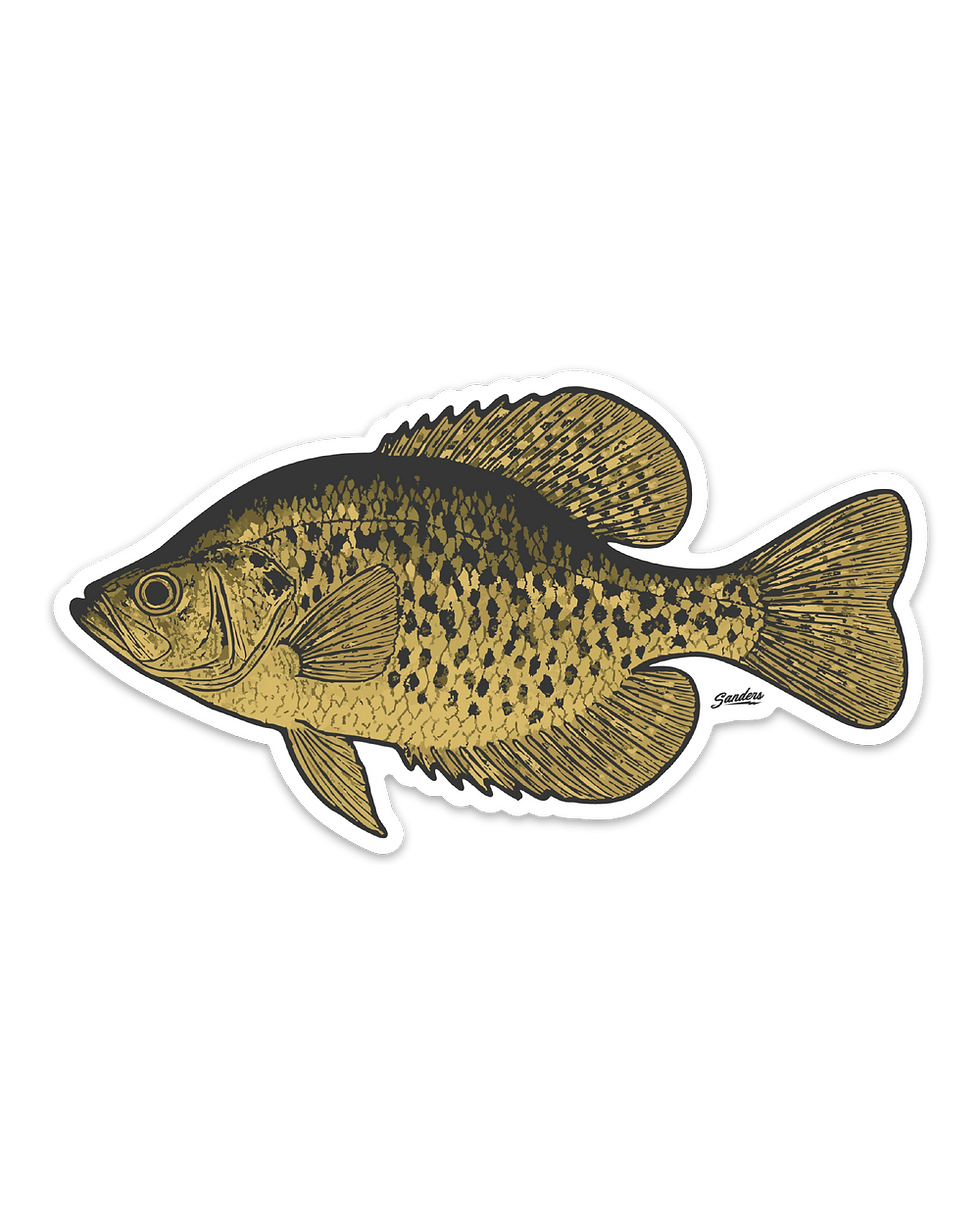 Crappie Decal Sticker