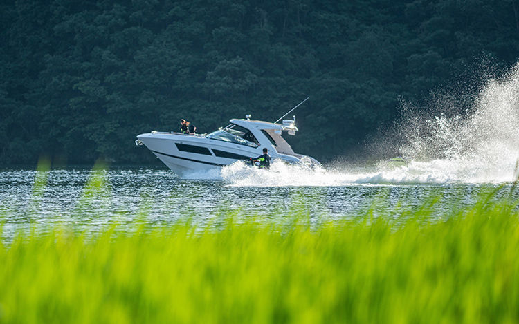 Salt Fork Lake Boat Cruise