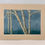Thumbnail: Birch Trees