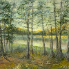 Trees by the Lake, Poconos,