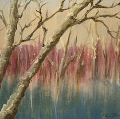 Twilight Birch
