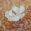 Thumbnail: White Copper