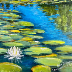 White Lotus, water lily, calm water,