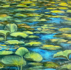 nature, lily pads, pond