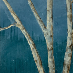 Birch III