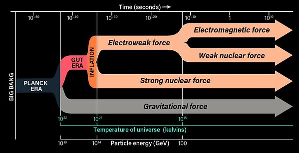 ST13 fundamental forces.jpg