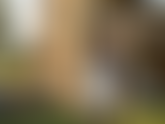 Alles im Blick: Mit einer strukturierten Checkliste führt dieser Hausbesitzer die jährliche Inspektion seines Heims durch, um böse Überraschungen bei der Versicherung zu vermeiden