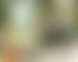 Innovación para vencer la pereza y
entrenar con Bienestapp y Xtrategy