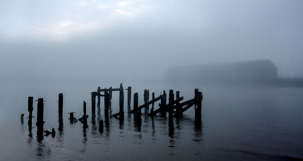 Lazing in the Foggy Dew