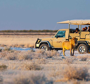 Etosha.jpg