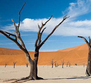 Sossusvlei.jpg