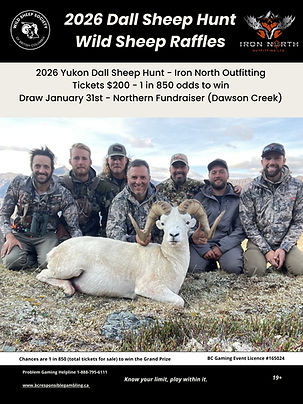 2026 Dall Sheep WSR (1).jpg
