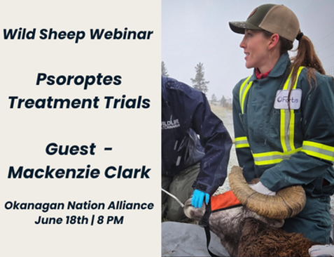 Psorptes Treatment Trials Webinar.png