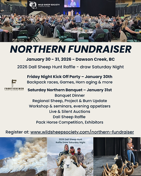 Magazine Northern Fundraiser Poster (8 x 10.5 in).png