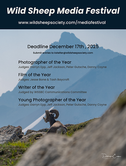 Wild Sheep Media Festival (8 x 10.5 in).png
