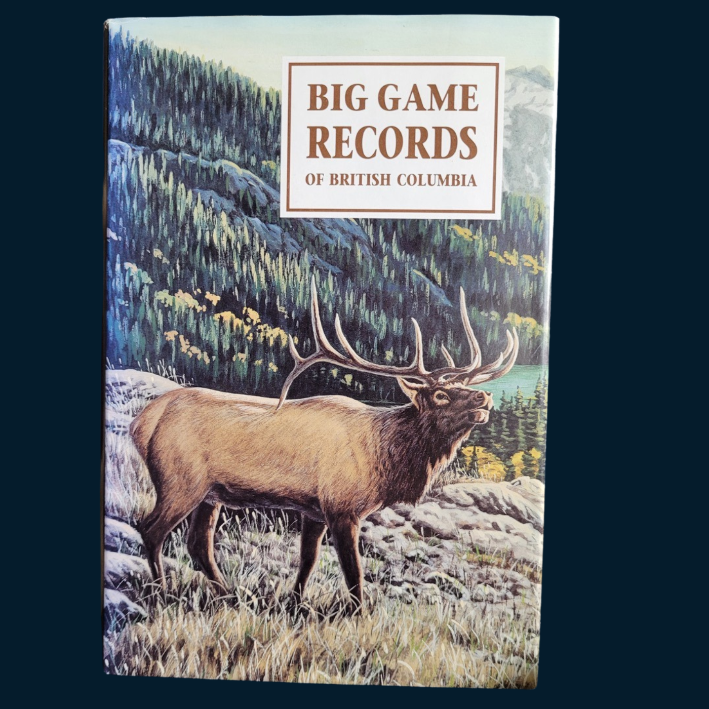 4th Edition Records Book (1995)