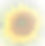 sunflower_edited.jpg