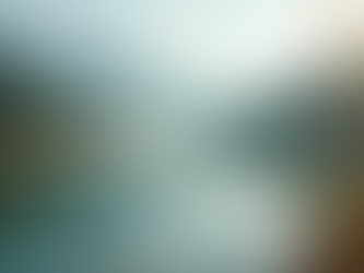 The Importance of Mindfulness in Everyday Life