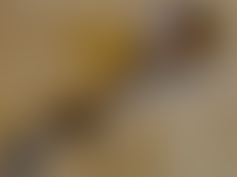 Exploring the Versatility of Wooden Spoons: Five Unique Blog Post Ideas