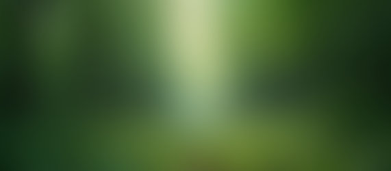 The Importance of Sustainable Living in Today's World