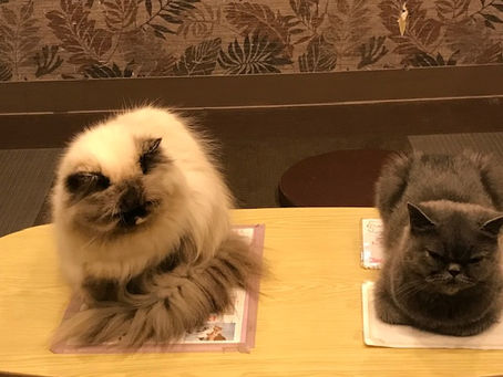 2024年度 英検英作文問題数増加