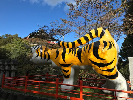 英語に関するご相談・ご質問受付中