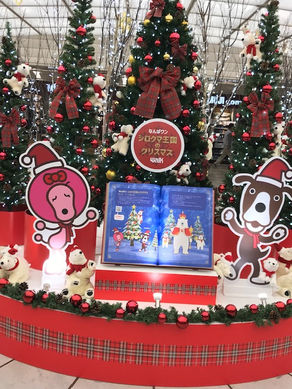 英語に関するご相談・ご質問受付中