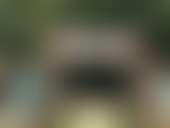 The optimist sees the doughnut and the pessimist sees the hole