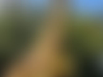 英語の名言や諺