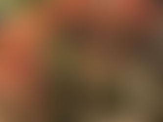 2024年度 英作文問題改訂対応