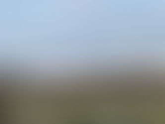 英検英作文 書き方のコツやヒント