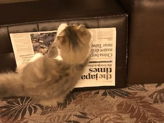 英検英作文 書き方のコツやノウハウ